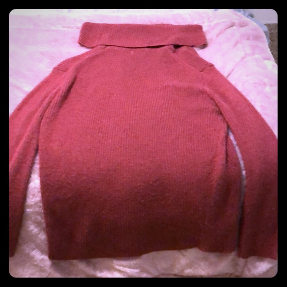Long sleeve turtleneck sweater (worn once)